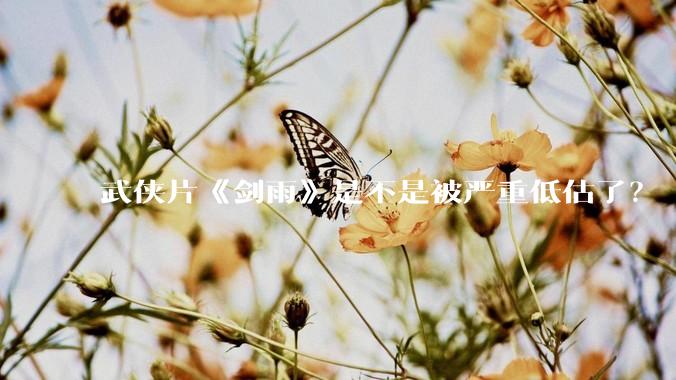 武侠片《剑雨》是不是被严重低估了？